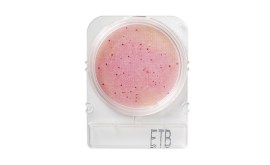 Compact Dry ETB - Enterobactérias - 100 Testes